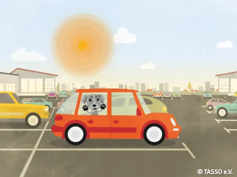 Auto im Sommer – Lebensgefahr für Hunde