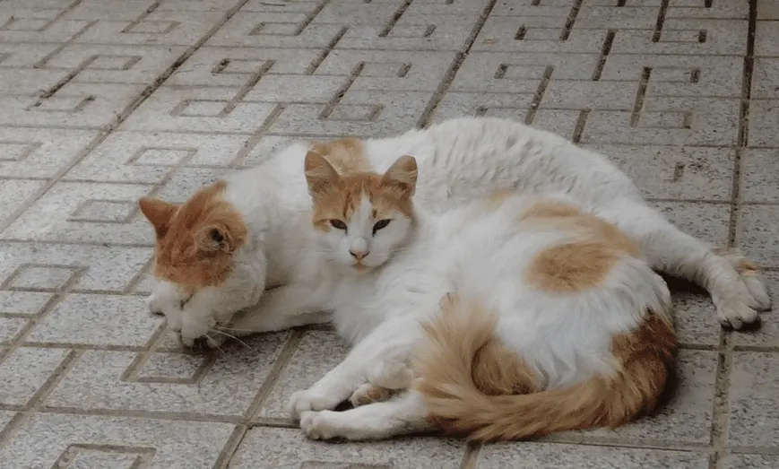 Jill und Tanja zu Besuch in Spanien